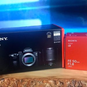 Sony mirrorless a7III camera and accessories.